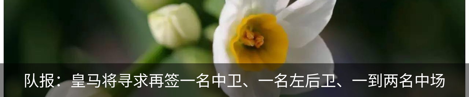 资讯动态
