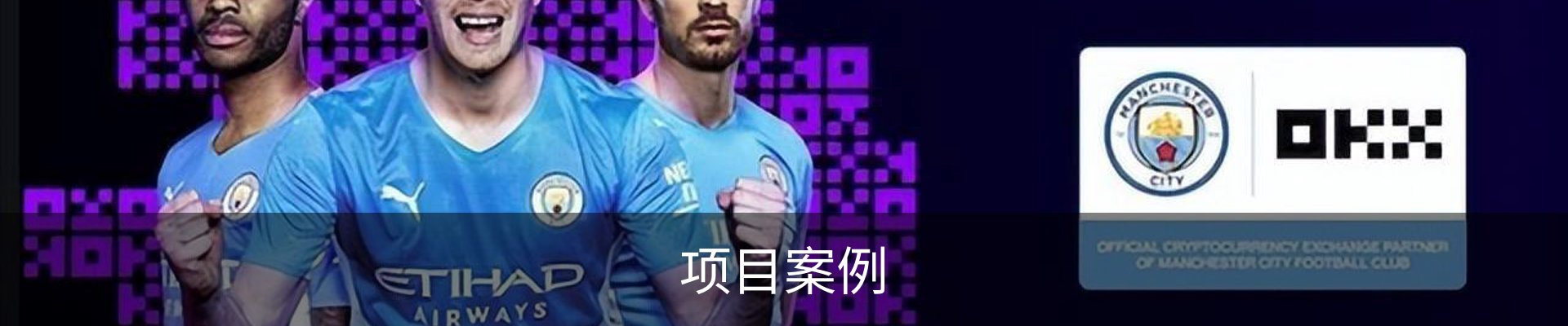 项目案例